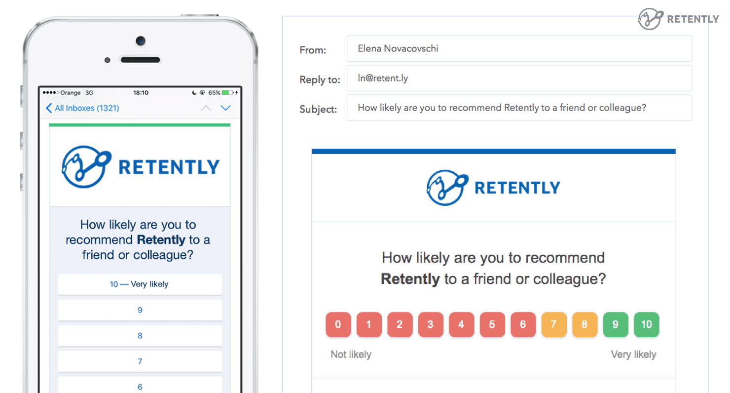 NPS Survey Example